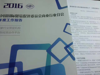 標準引領，智啟未來 李德偉出席2017年管理咨詢與培訓服務標準化研討會