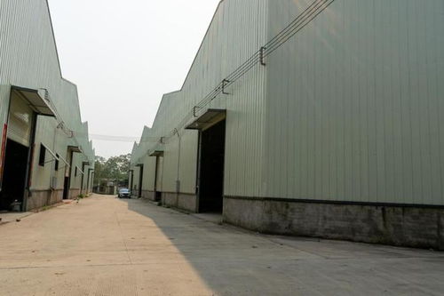 南寧一工廠破產拍賣引關注 566.8646萬成交價背后的產業與歷史變遷