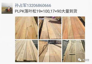 找原木?找板材?在這里 2017年10月2日精品木材銷(xiāo)售信息 —— 履約思源，不忘初心